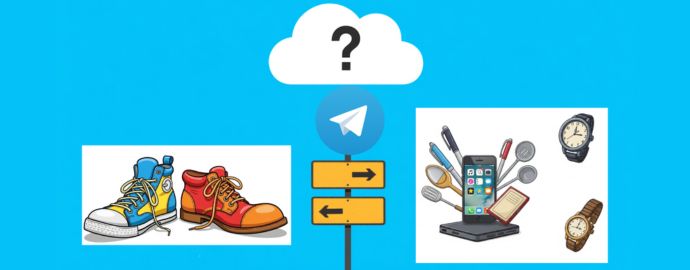 Meglio un Canale Telegram di Offerte di Nicchia o Generale?